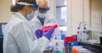 Wuhan Lab Had 3 Live Bat Coronaviruses