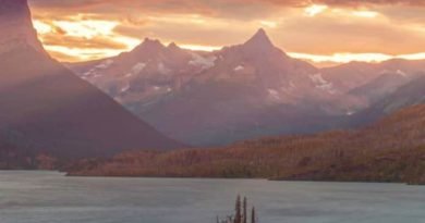 Android Smartphone users