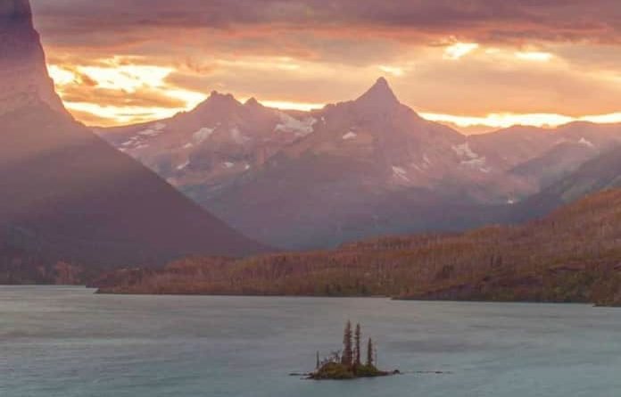 Android Smartphone users