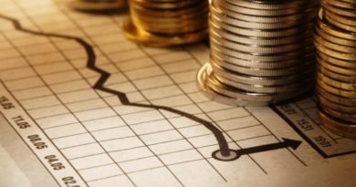 Analysts cut Gross domestic product