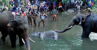 Javadekar orders investigation