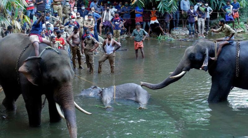 Javadekar orders investigation