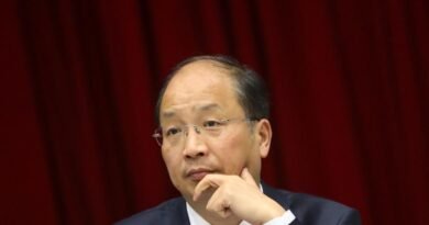 China Protections controller