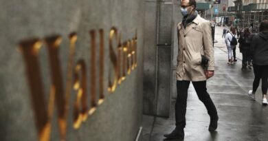 US pandemic guide program