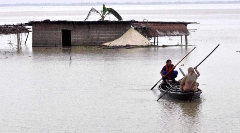 Flood in Assam hits