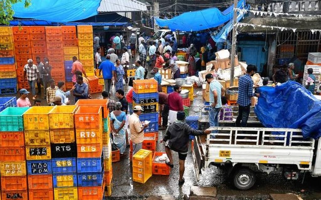 Kochi's largest fish