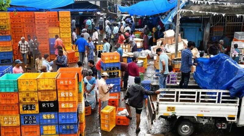 Kochi's largest fish