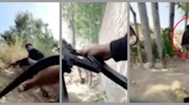 The terrorists released