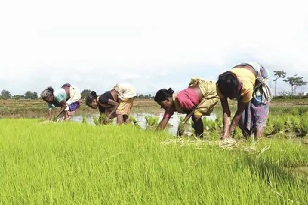 Minimum Support Price