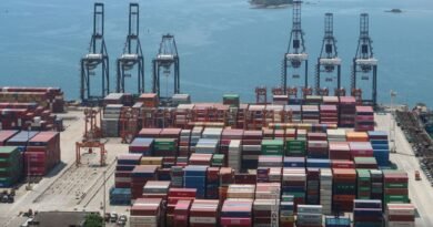 Expected growth in Indian