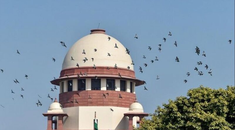 Bail plea of ​​a former