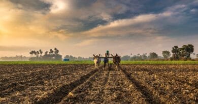 Truth and lies related