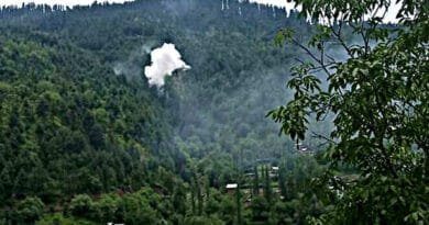 Two suspected Pakistani girls