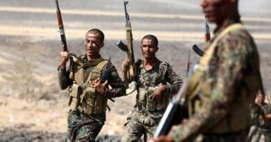 Yemen govt-backed military