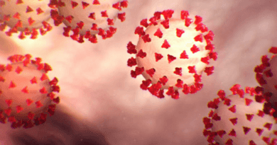 Coronavirus stays alive