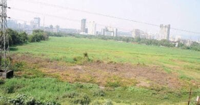 Maharashtra and Gujarat