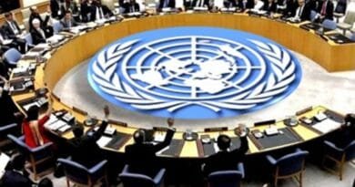 India warns UN Security Council