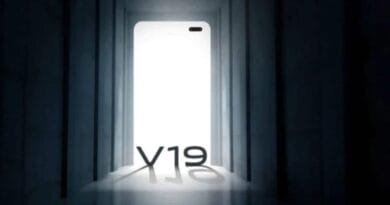 Vivo V19 received