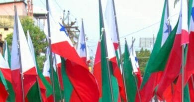 The central government