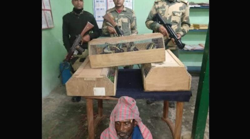 BSF rescued 20 exotic birds