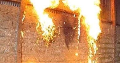 Srinagar Petrol Bomb Attack: