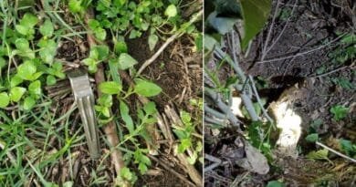 Samba Grenade Attack: