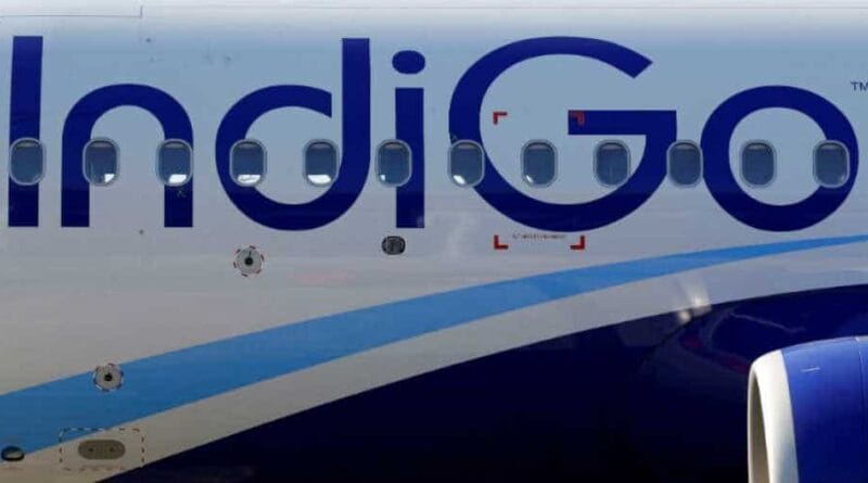 Senior Indigo employees