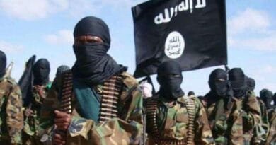 IS terrorist module operating