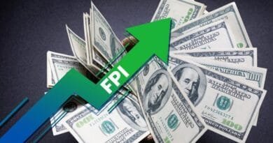 Foreign Portfolio Investment: