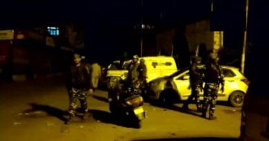 Grenade attack by terrorists