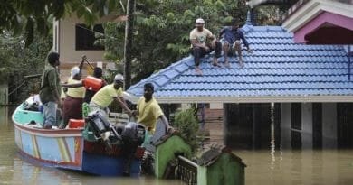 All measures will be used