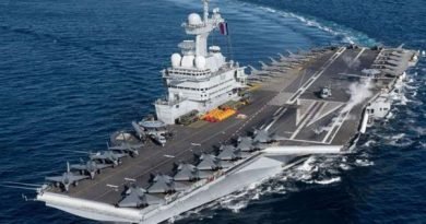 Indo-French navy showed