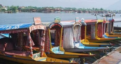 Celebrate this new year i