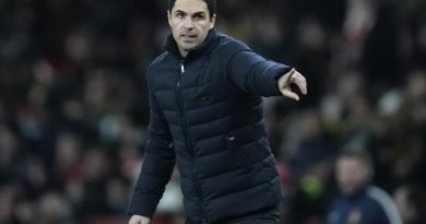 Arsenal manager Michael