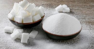 Sugar exports increased
