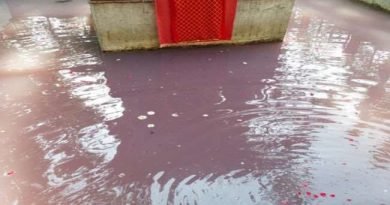 The water of  Kheer-Bhawani temple