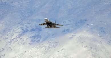 Chinese fighter jet: