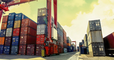 India's exports increased