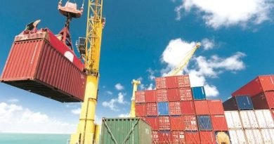 Exports fall after 19 months