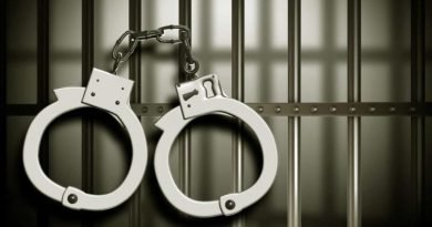 Drug smuggler arrested