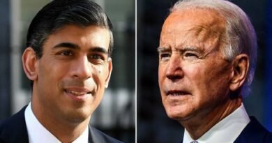 US President Joe Biden