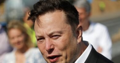 Telsa Chief Elon Musk Moves