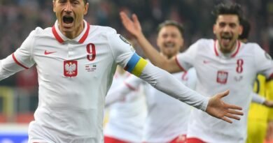 Fifa World Cup 2022: