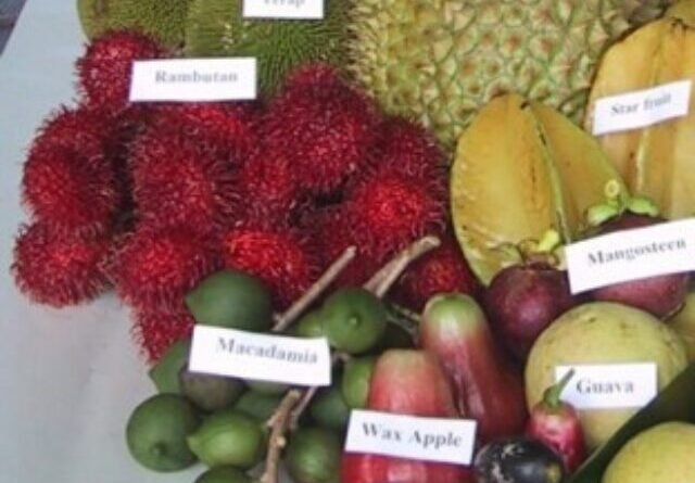 10 RAREST FRUITS IN THE WORLD