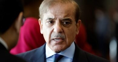 Terrorism in Pakistan: Pakistan has been exposed