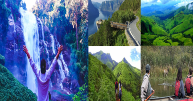 Embracing the Journey: A Passport to Adventure