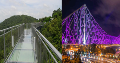 Discover the thrill: India's most captivating and daring bridges that leave tourists spellbound