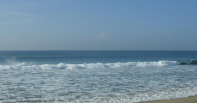 Discover Tranquility and Adventure at Niladri Sea Beach