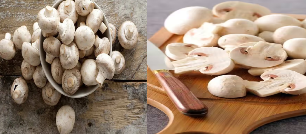 Discover the Health Benefits of Mushrooms