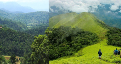 Explore the Enchanting Beauty of Coorg